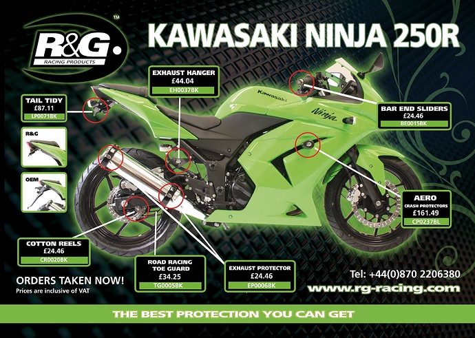 Ninja250Rflyer.jpg