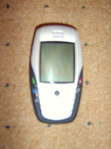 STA60004.JPG