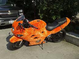 hairy-muppet-bike-1.jpg